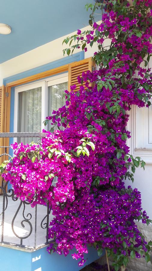 Clementin Suits Siğacık Bagian luar foto